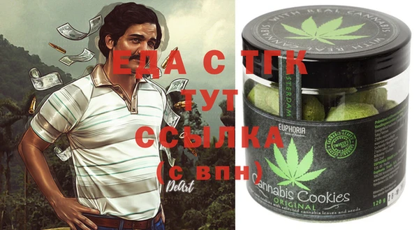 индика Вязьма