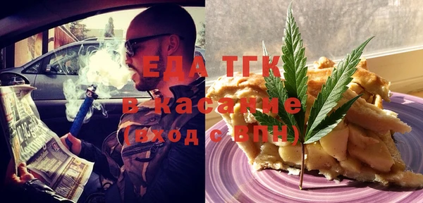 индика Вязьма
