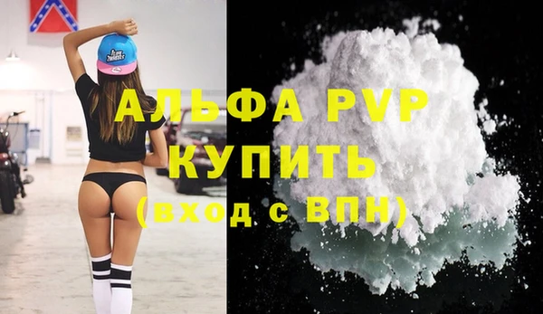 индика Вязьма
