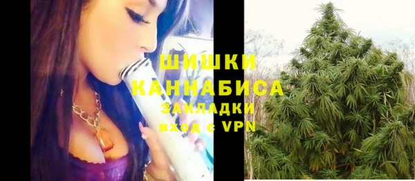 индика Вязьма