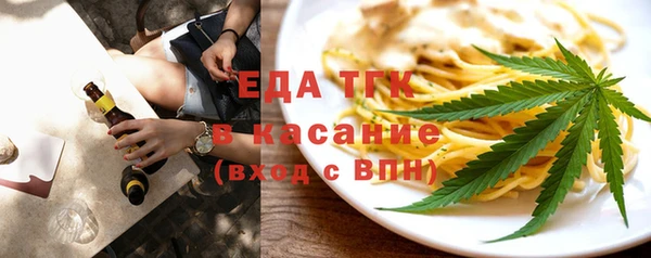 индика Вязьма