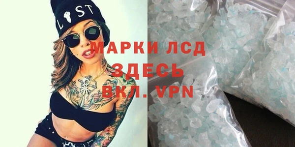 индика Вязьма