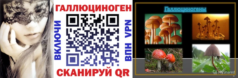 Купить Буинск Псилоцибиновые грибы ЛСД